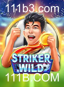 Descubra o Mundo de StrikerWILD: Um Novo Horizonte para os Amantes de Jogos de Ação